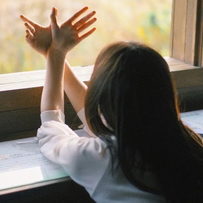 相逢何必曾相识